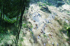 Avatar Tsutey With Banshee GIF