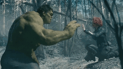 Avengers Hulk And Black Widow