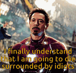 Avengers Im Surrounded By Idiots GIF