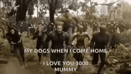 Avengers Infinity War GIF