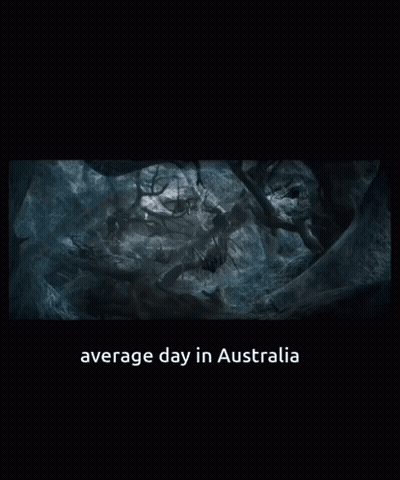 Average Day In Australia GIF