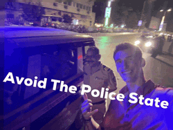 Avoid The Police Car Lights GIF