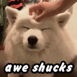 Awe Cute Doggo GIF