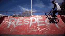 Awesome Bike Exhibition Respect GIF