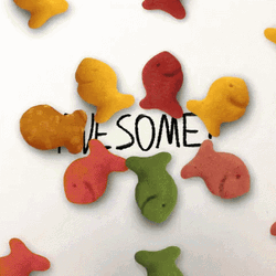 Awesome Colorful Fish Crackers  GIF