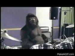 Awesome Gorilla Playing Drums