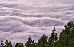 Awesome Surging Sea Of Clouds