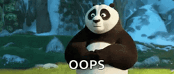 Awkward Oops Kung Fu Panda