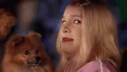 Awkward Undercover Kevin Copeland Holding Dog White Chicks GIF