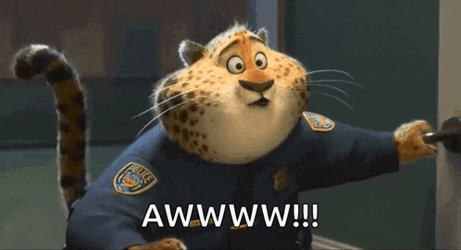 Aww Cute GIF