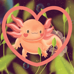 Axolotl Forming Heart