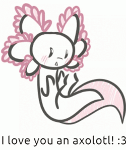 Axolotl Meme Pink Coquette Axolotl I Love You GIF
