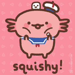 Axolotl Meme Squishy Cheeks  GIF