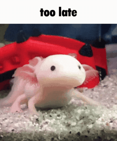 Axolotl Too Late GIF