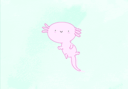 Axolotl Wiggling Ears And Tail