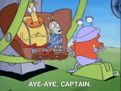 Aye Aye Captain At Ferris Wheel GIF