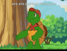Aye Aye Captain Franklin GIF