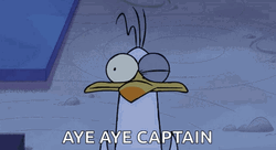 Aye Captain I Understood GIF