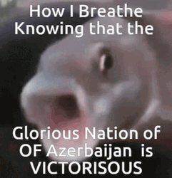 Azerbaijan Glorious Nation Fish  GIF