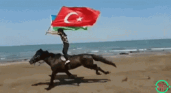 Azerbaijan Turkey Flag Horse