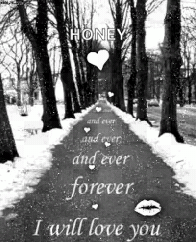 B&W Snowy Road Honey Ever Forever Love You GIF