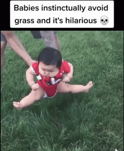 Babies Instinctually Avoid Grass GIF