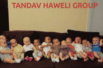 Babies Sitting On Couch Tandav Haweli Group GIF