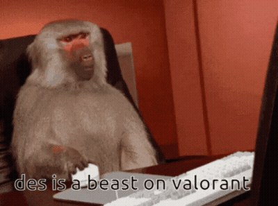 Baboon Says Des Is A Beast On Valorant GIF