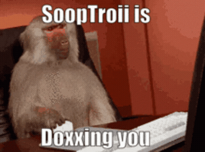 Baboon Sitting At Desk Typing On Laptop GIF