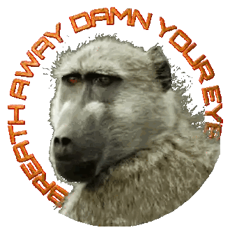 Baboon Surrounded By Damn Your Eye Sticker