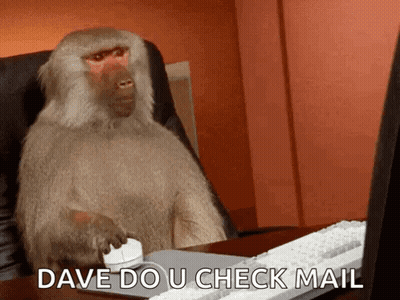Baboon Using Mouse And Keyboard At Desk GIF