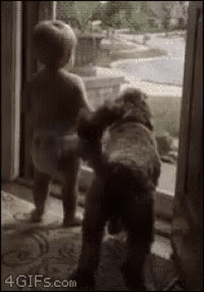 Baby And Dog Looking Out Window GIF