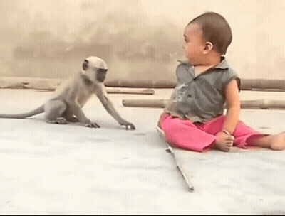 Baby And Monkey Sitting GIF