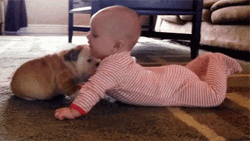 Baby And Puppy GIF