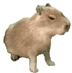 Baby Capybara Capybara Sticker GIF