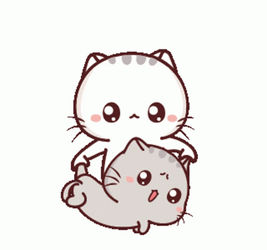 Baby Cat Flipped Up And Down GIF