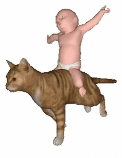 Baby Cat Riding A Cat GIF