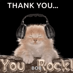 Baby Cat Rocking On Headphones GIF