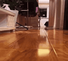 Baby Cat Running On The Floor GIF