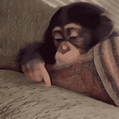 Baby Chimpanzee Laying On Blanket Pointing GIF