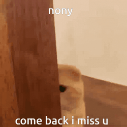 Baby Come Back I Miss You Cute Cat GIF