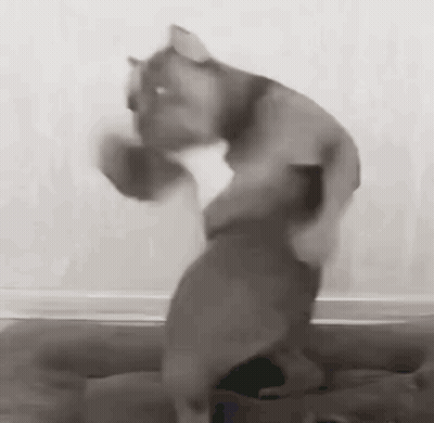Baby Dancing In Room With Woman Holding Baby GIF