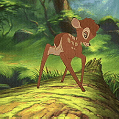 Baby Deer Standing On Log In Woods GIF