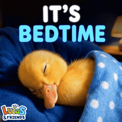Baby Duck Sleeping Under Blue Blanket Saying It's Bedtime GIF