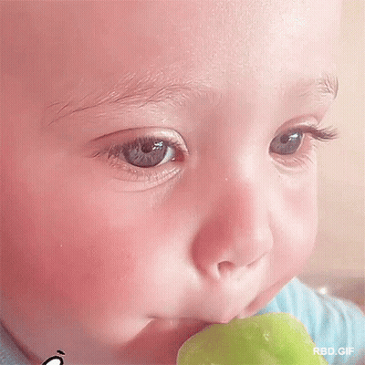 Baby Eating Green Apple GIF