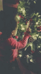 Baby Exploring Christmas Tree Wednesday GIF