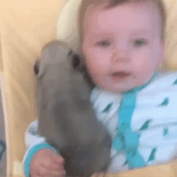 Baby Fever Holding Puppy GIF