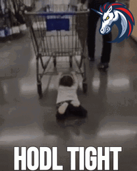 Baby Getting Dragged By A Cart Hodl GIF