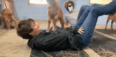 Baby Girl In Leopard Print Shirt Making Funny Face GIF