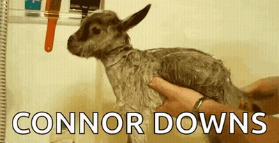 Baby Goat Held by Person Saying Connor Downs